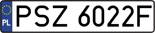 PSZ6022F