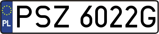 PSZ6022G