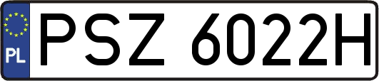 PSZ6022H