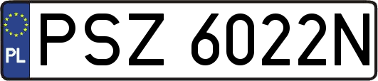 PSZ6022N