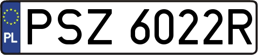 PSZ6022R