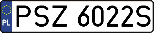PSZ6022S