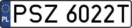 PSZ6022T