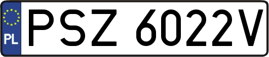 PSZ6022V
