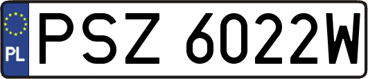 PSZ6022W