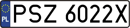 PSZ6022X