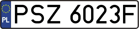 PSZ6023F