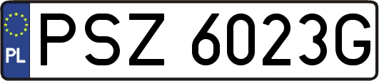 PSZ6023G