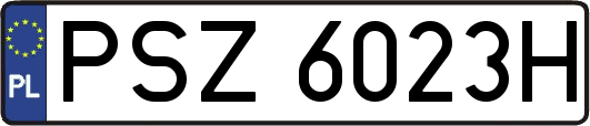 PSZ6023H