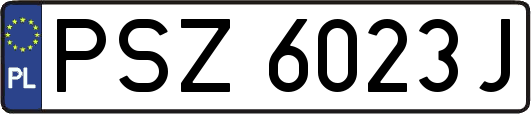 PSZ6023J