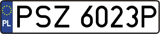 PSZ6023P