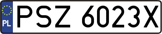 PSZ6023X