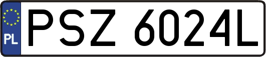 PSZ6024L