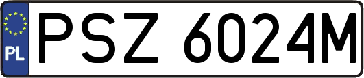 PSZ6024M
