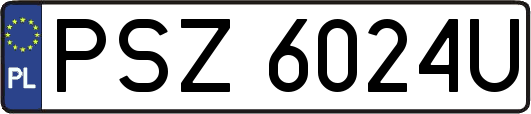 PSZ6024U