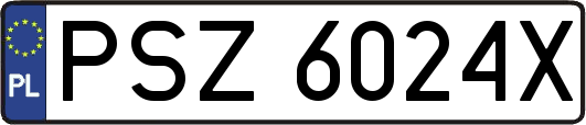 PSZ6024X
