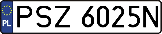 PSZ6025N