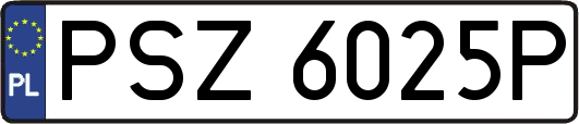 PSZ6025P