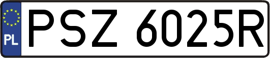 PSZ6025R