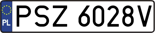 PSZ6028V