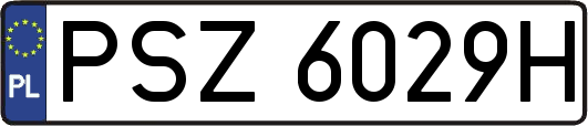 PSZ6029H