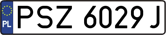 PSZ6029J