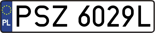 PSZ6029L