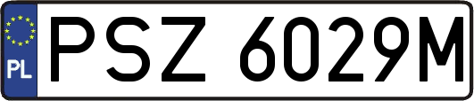 PSZ6029M