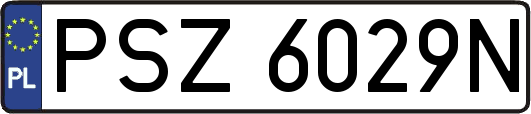 PSZ6029N