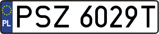 PSZ6029T