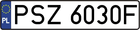 PSZ6030F