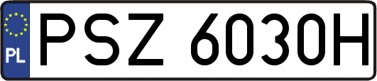PSZ6030H