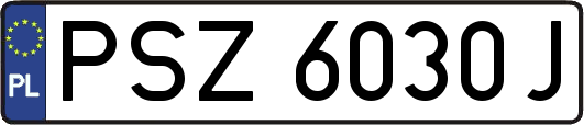 PSZ6030J