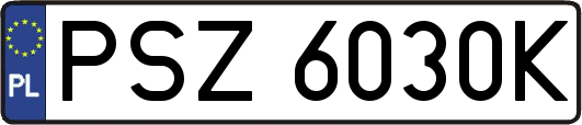 PSZ6030K