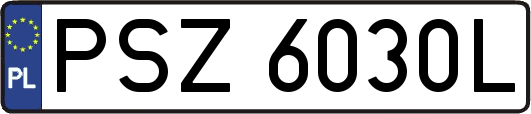 PSZ6030L