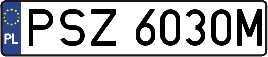 PSZ6030M