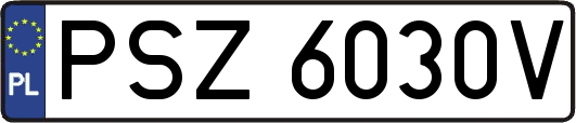 PSZ6030V
