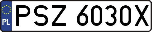 PSZ6030X