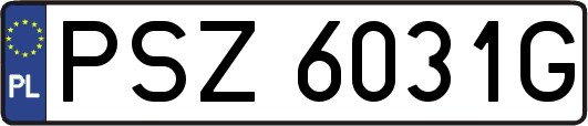 PSZ6031G