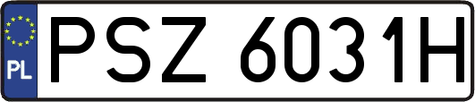 PSZ6031H