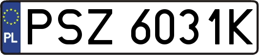 PSZ6031K