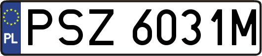 PSZ6031M
