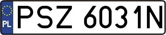 PSZ6031N