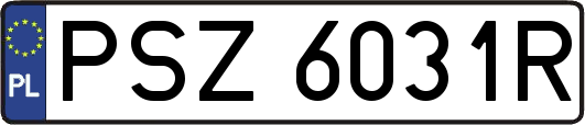 PSZ6031R
