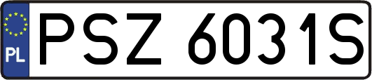 PSZ6031S