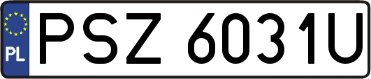 PSZ6031U