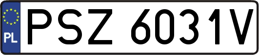 PSZ6031V