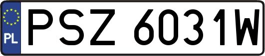 PSZ6031W