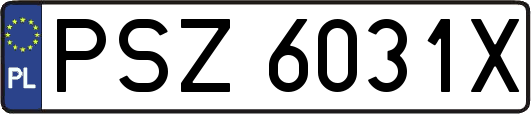 PSZ6031X