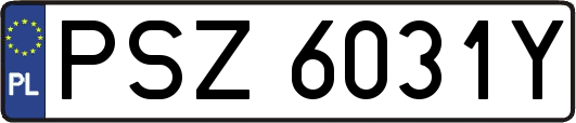 PSZ6031Y